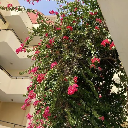 Apartamento Comfortable In The Heart Of 25 M² Parking Included